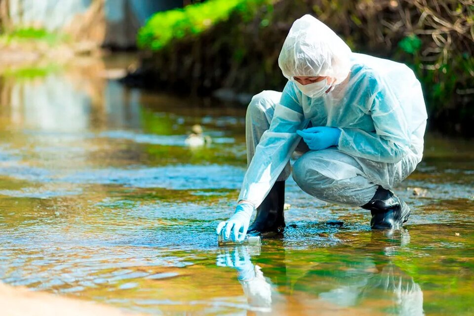 El virus fue hallado en aguas residuales de la ciudad de Florianopolis. (Fuente: AFP)