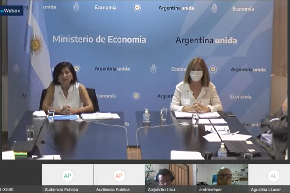 Maggie Luz Videla Oporto, subsecretaria de Hidrocarburos (izquierda) presentó el informe oficial.