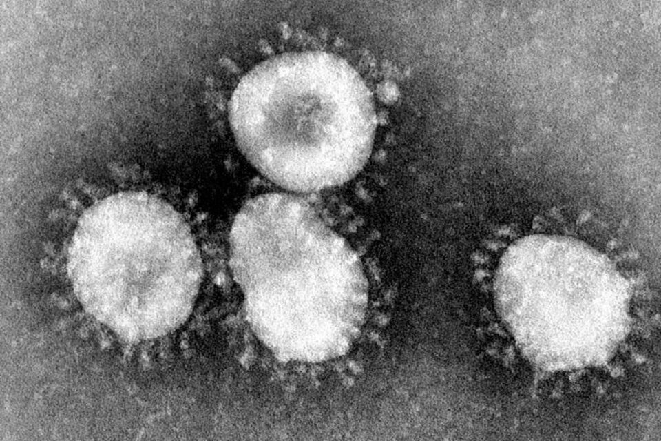 Detectaron variantes del coronavirus de Manaos y del Reino Unido en Córdoba