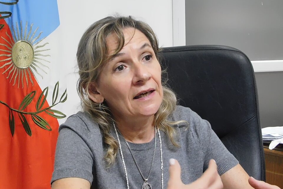 Claudia Palladino, ministra de Salud de Catamarca.