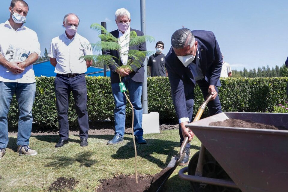 Claudio Tapia, presidente de la AFA, plantando un árbol. (Fuente: NA)