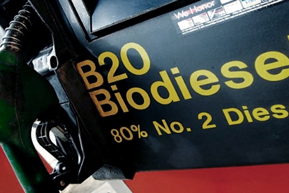 Biocombustibles: plataforma estratégica de la Bioeconomía  (Fuente: Télam)