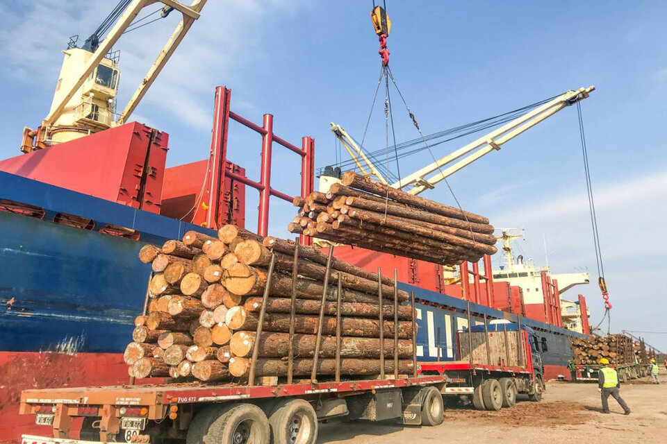 Los rollizos de madera de pino y eucaliptus se embarcan desde fines de 2018 de manera semanal desde los puertos de Entre Río.
