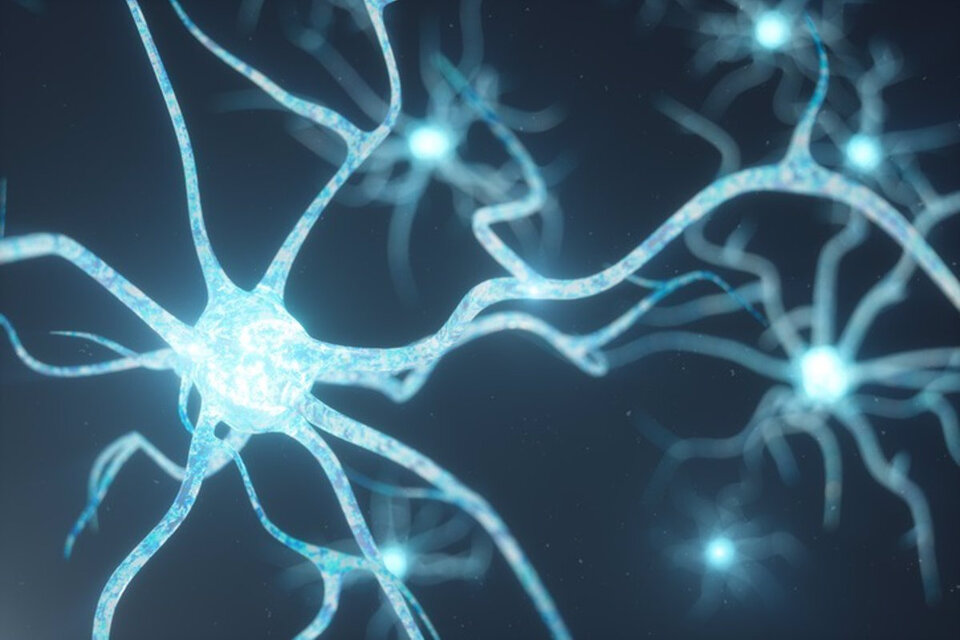 Científicos crearon un chip con neuronas artificiales que reconocen bioseñales en tiempo real