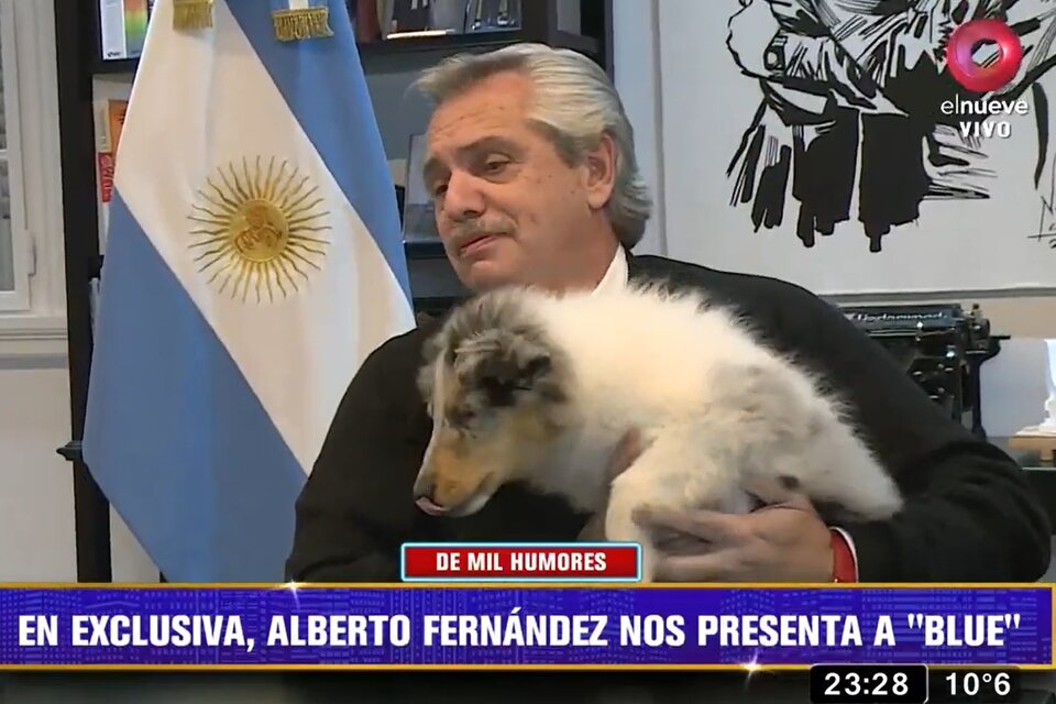 Alberto Fernández con su perro Blue. (Fuente: Imagen Canal 9)