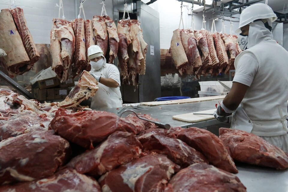 Los frigoríficos denunciados declararon exportaciones de hueso y carne no apta para consumo humano. (Fuente: Leandro Teysseire)