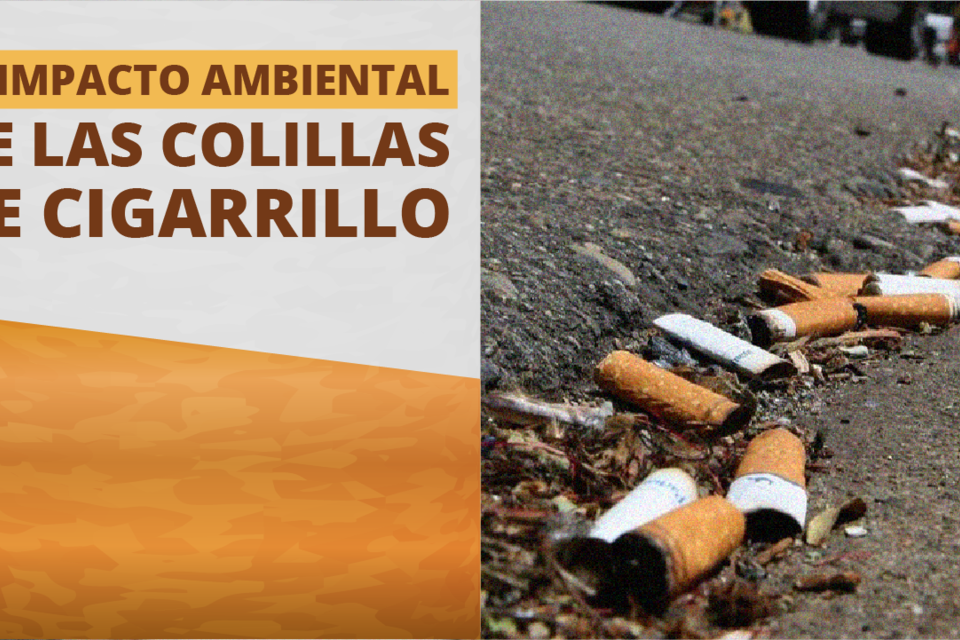 El impacto ambiental de las colillas de cigarrillo