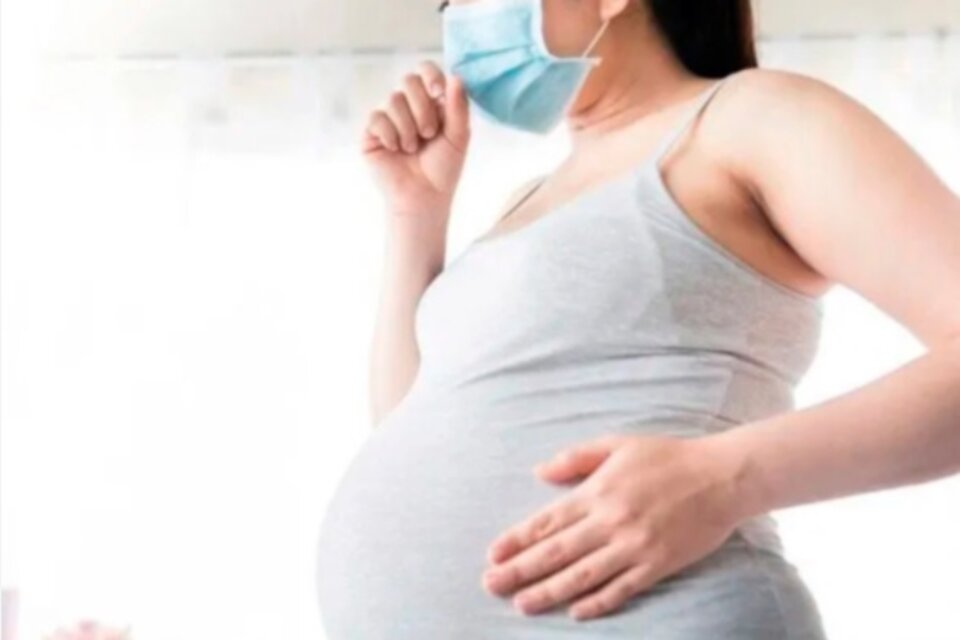 Asignación por Prenatal y por Maternidad junio 2021: la ANSES anunció el calendario de pagos.