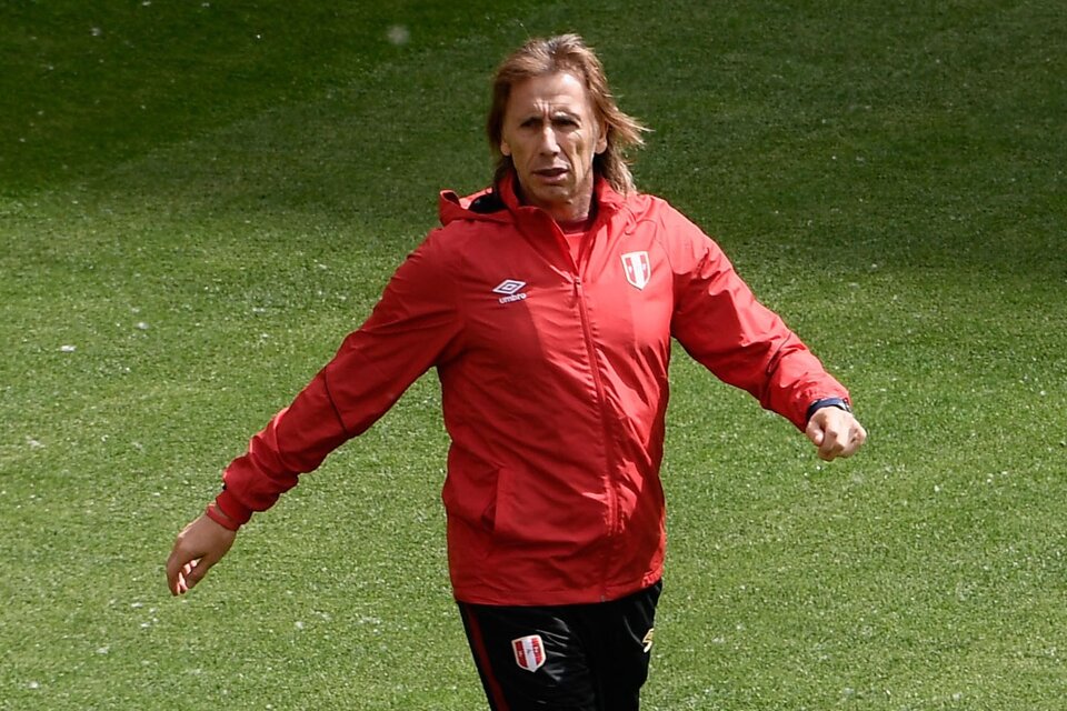 El Tigre Gareca, seleccionador de Perú (Fuente: AFP)