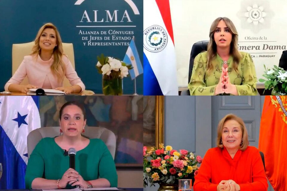 La Alianza de Cónyuges de Jefes de Estado y Representantes (ALMA), bajo la coordinación de la primera dama, Fabiola Yañez; llevó a cabo un evento virtual con el apoyo del Programa de las Naciones Unidas para el Medio Ambiente (PNUMA).