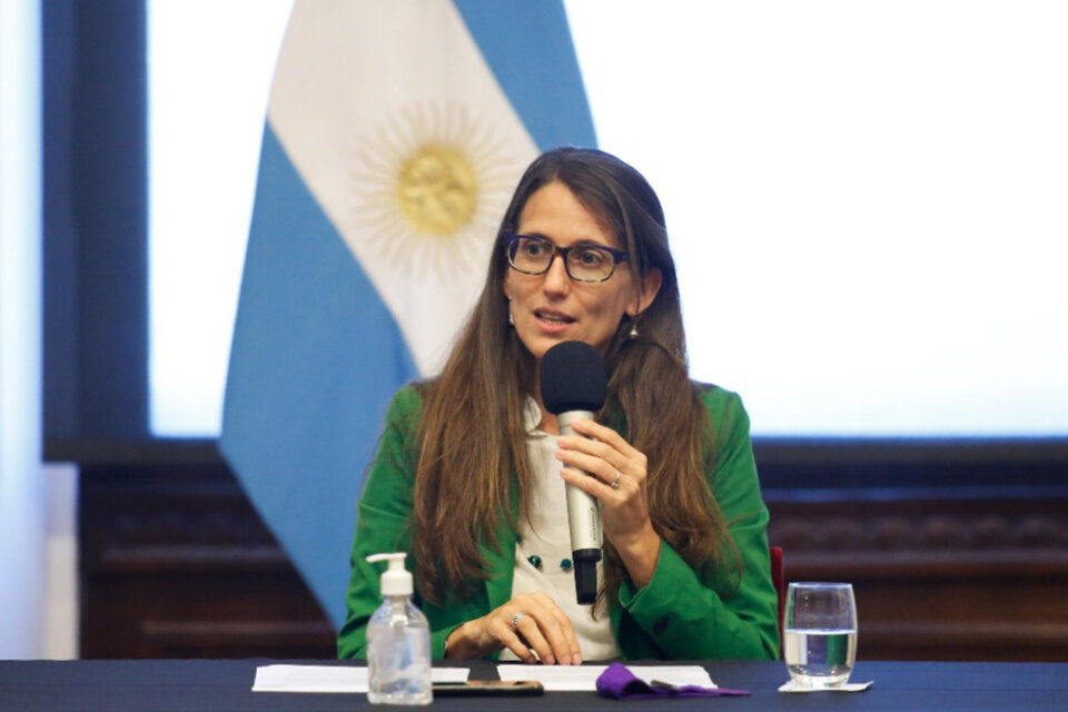 Elizabeth Gómez Alcorta, ministra de las Mujeres, Género y Diversidad.  (Fuente: NA)