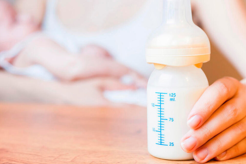 Diseñan en La Plata una "súper leche"  lista para ser consumida por mujeres embarazadas y en período de lactancia.