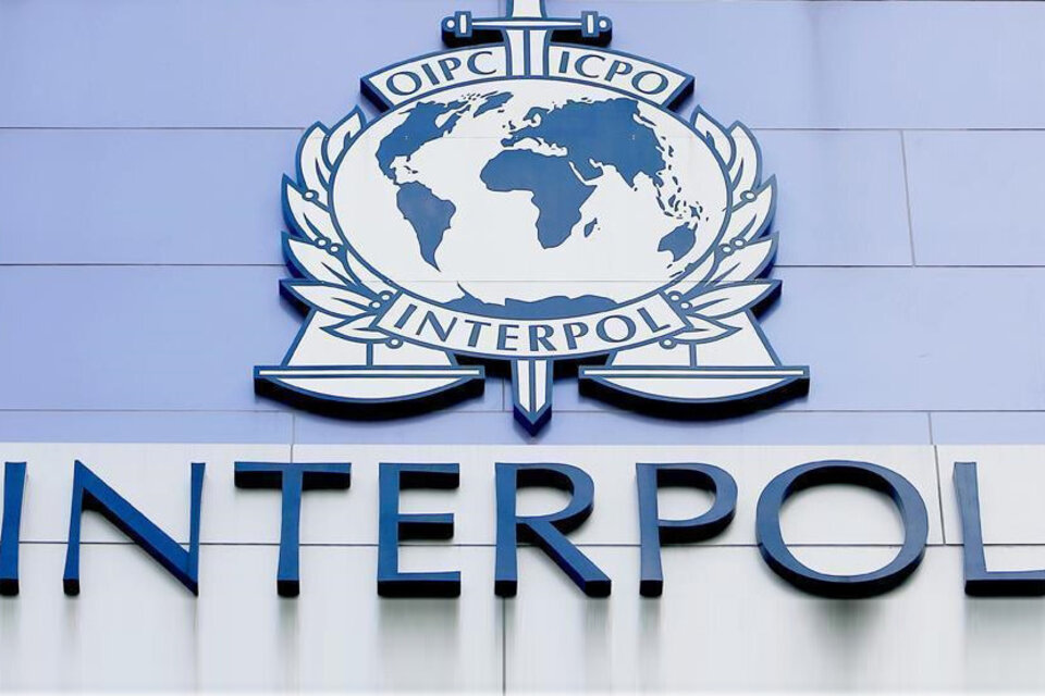 Interpol emitió una alerta amarilla para activar la búsqueda internacional de Guadalupe Lucero Cialone. (Fuente: EFE)