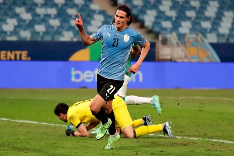 Cavani inicia el festejo del segundo gol de Uruguay (Fuente: EFE)