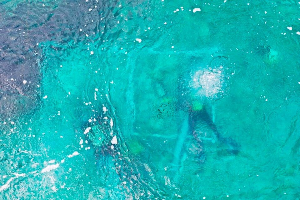 Un grupo de buzos indaga el asentamiento. (Fuente: Facebook Diving Center-LumbardaBlue)