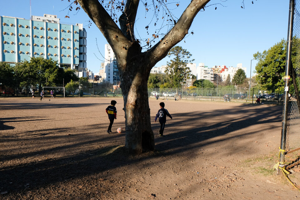 En el potrero del Parque hay botines, camisetas, pelotas y un árbol que los futbolistas respetuosamente esquivan. (Fuente: Cecilia Salas)