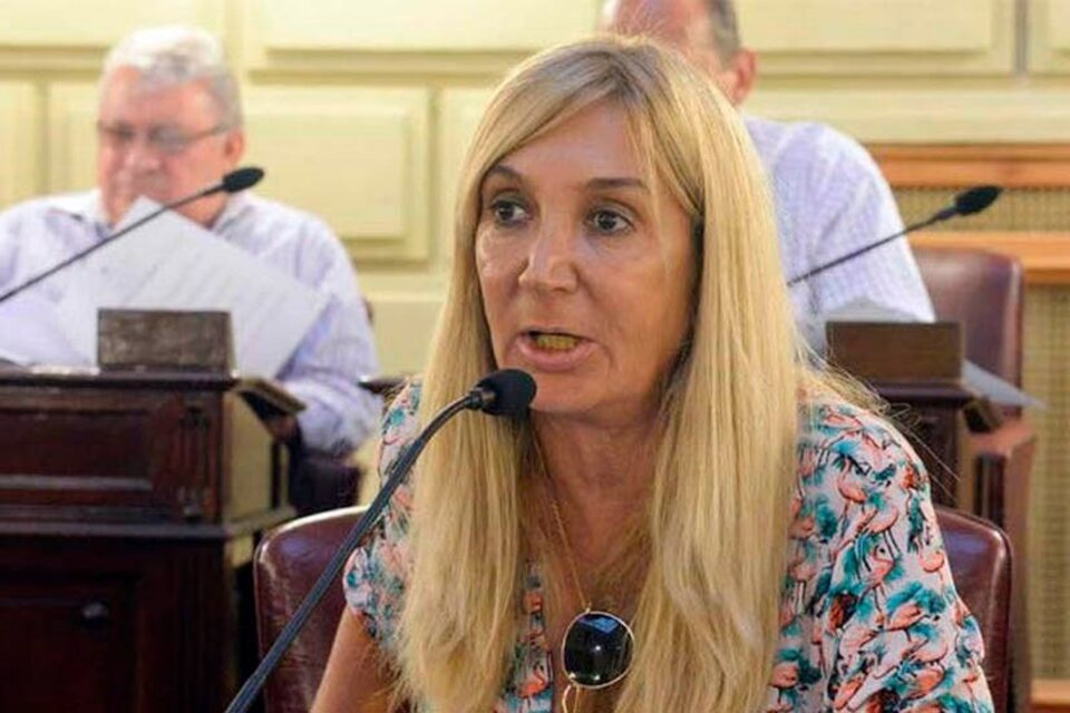 Alejandra Vucasovich reemplazará a Carlos Reutemann en el Senado
