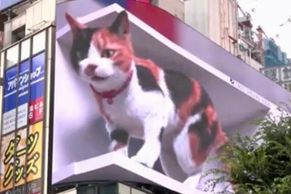 El gato gigante que deslumbra a los habitantes de Tokio (Fuente: Captura de pantalla)