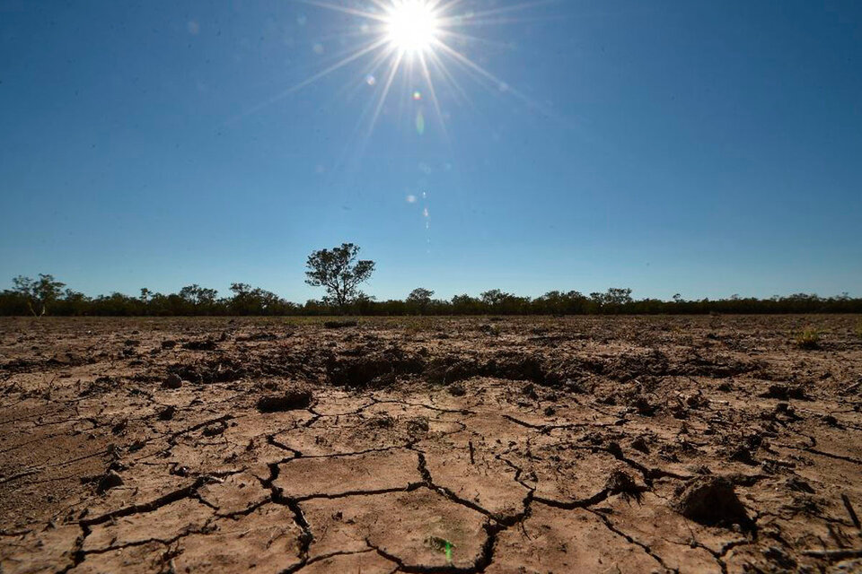 El agro es altamente vulnerable al impacto de las sequías. (Fuente: AFP)