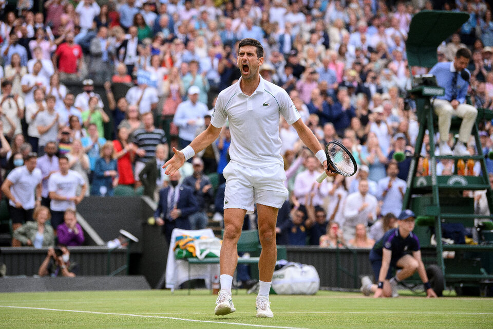 El festejo de Novak Djokovic, que irá por su vigésimo Grand Slam el domingo (Fuente: AFP)