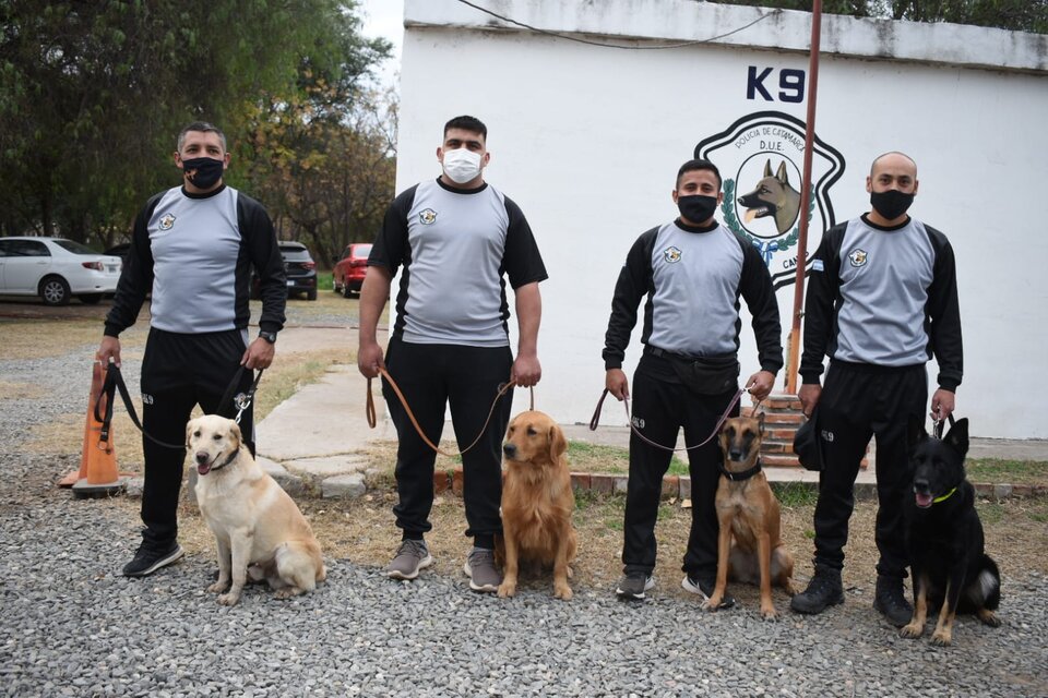 Catamarca ayudará en la búsqueda de Guadalupe Lucero con canes rastreadores
