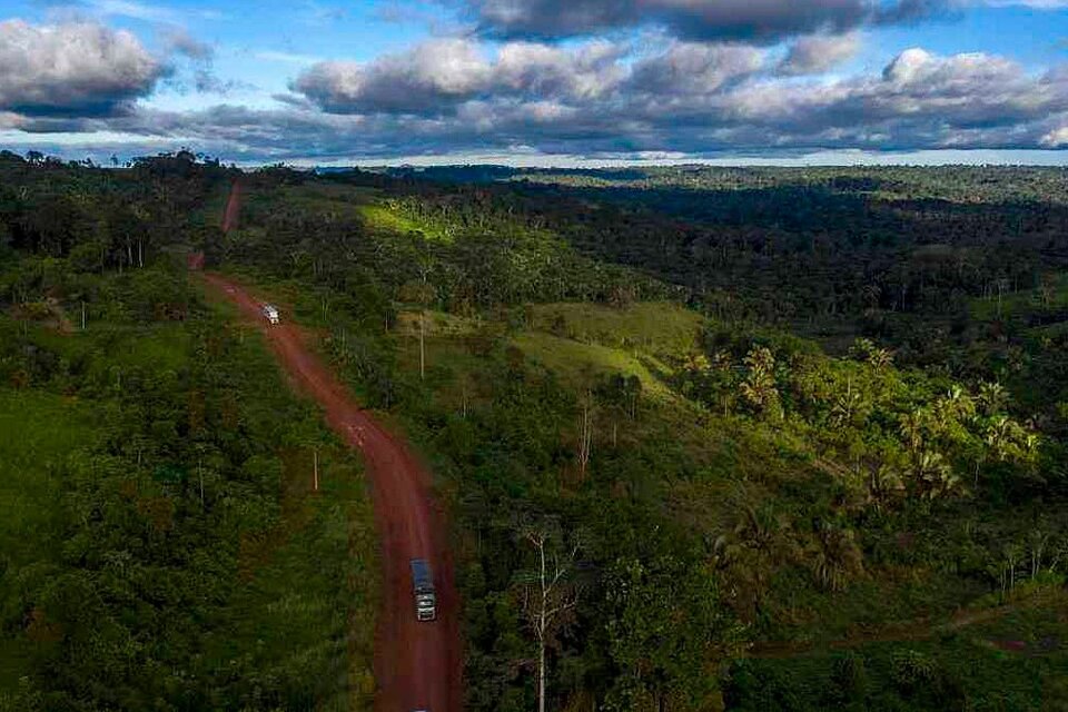 En la selva del Amazonas hay 450 mil millones de toneladas de CO2. (Fuente: AFP)