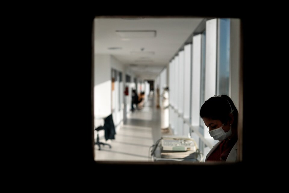 Covid 19: cuáles son las verdaderas cifras de muertes y contagios. (Fuente: EFE)