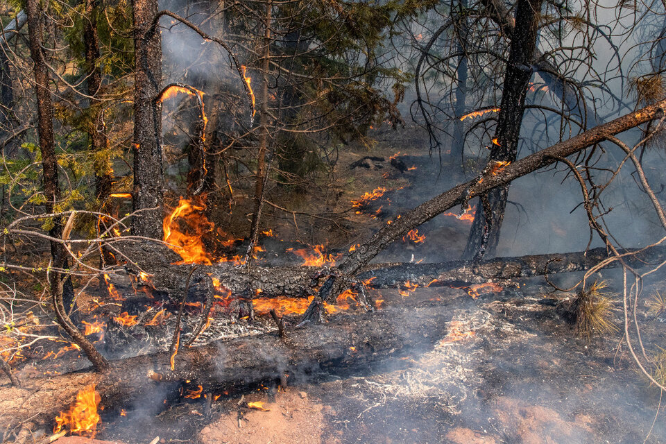Oregón sufre el mayor incendio de su historia (Fuente: AFP)