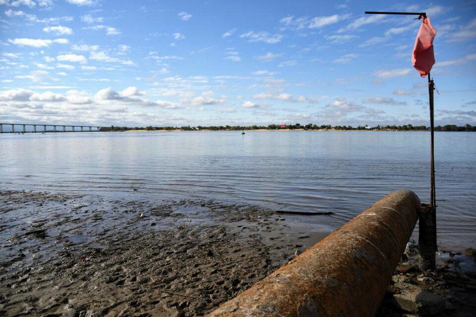 Advierten que la bajante del Río Paraná es un "holocausto ambiental" (Fuente: NA)