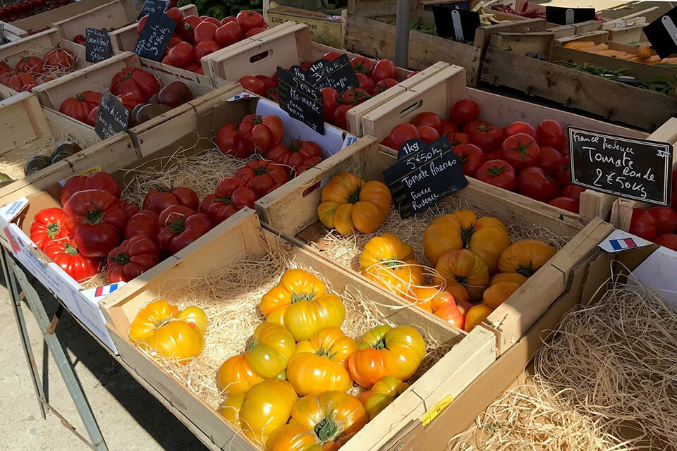 El tomate es una de las hortalizas con mayor superficie de cultivo. 