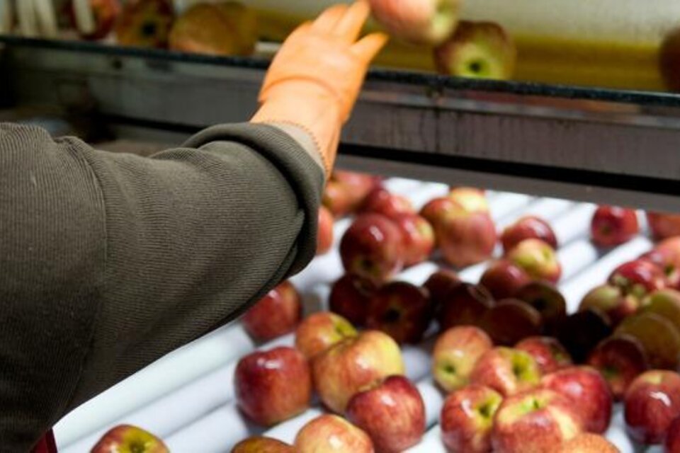 Acuerdo de precios con productores de manzanas (Fuente: NA)