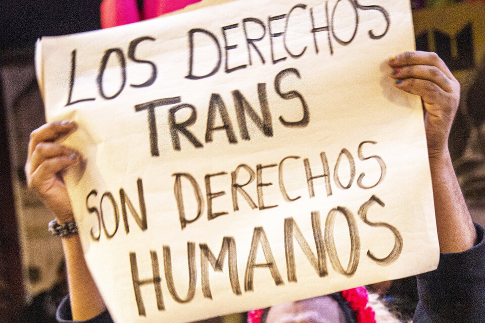 Salta: denuncian acoso laboral, precarización y falta de implementación del cupo travesti trans (Fuente: Sebastián Freire)