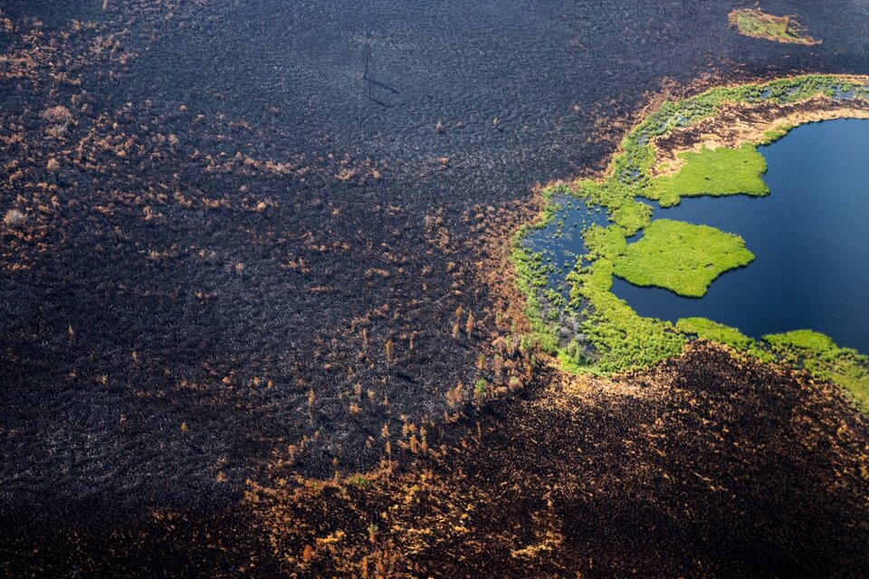 Una foto aérea muestra los bosques quemados en Yakutia. (Fuente: AFP)