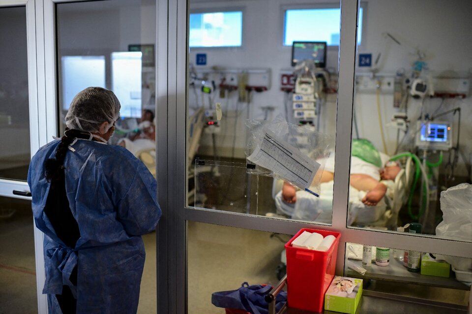 En el reporte de este lunes se registraron 503 fallecimientos por coronavirus. (Fuente: AFP)