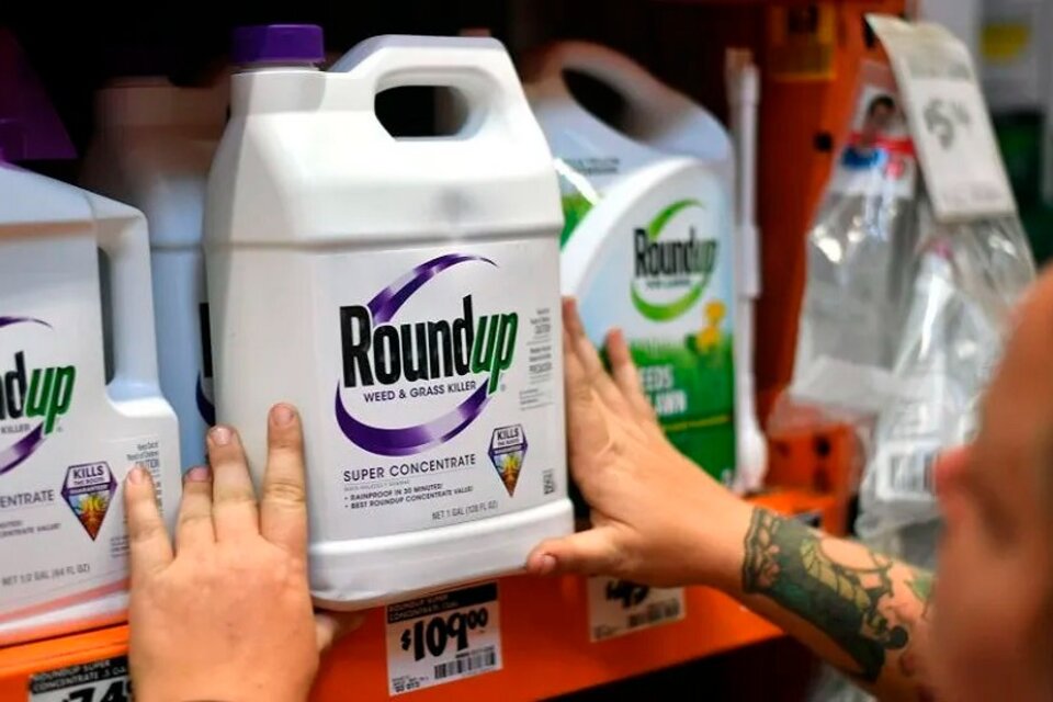 Roundup, el glifosato de Bayer, llevó a una indemnización de más de 86 millones de dólares. (Fuente: AFP)