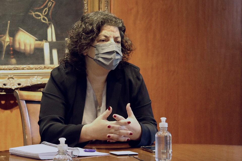En la reunión virtual con cientícos de Emiratos Árabes participaron Cara Vizzotti y Cecilia Nicolini. (Fuente: NA)