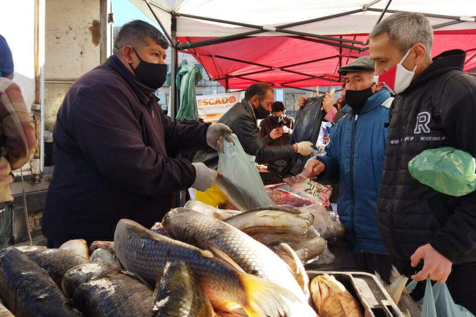En este Pescadazo, ofrecieron pescados de río a precios rebajados: sábalo y bagre a $150 el kilo, patí a $180, boga a $240 y dorado a $150 pesos. (Fuente: Bernardino Avila)