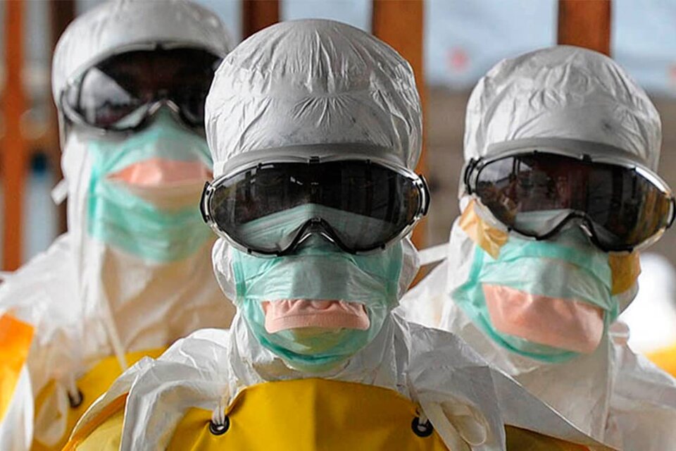 Reapareció el Virus de Marburgo, cercano al Ébola y casi tan mortal.