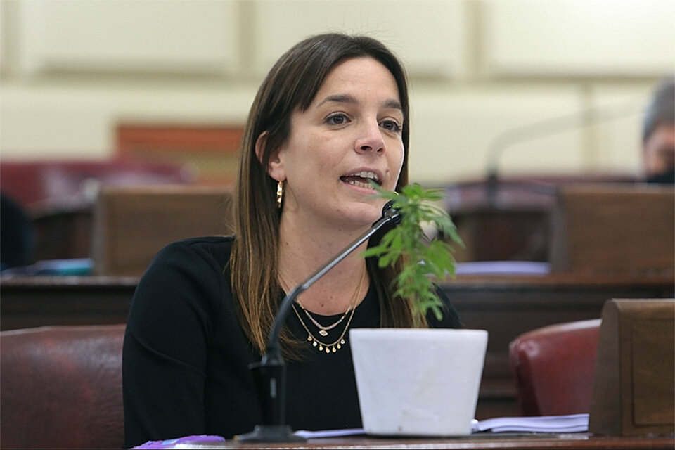 De Ponti, legisladora del Movimiento Evita.