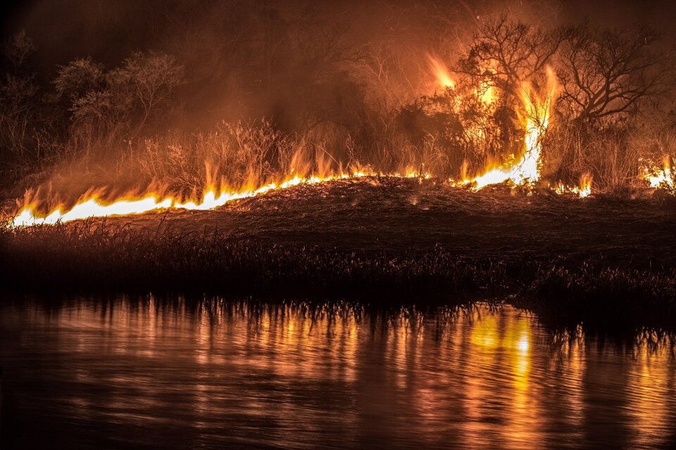 Incendios forestales en islas del delta del Paraná