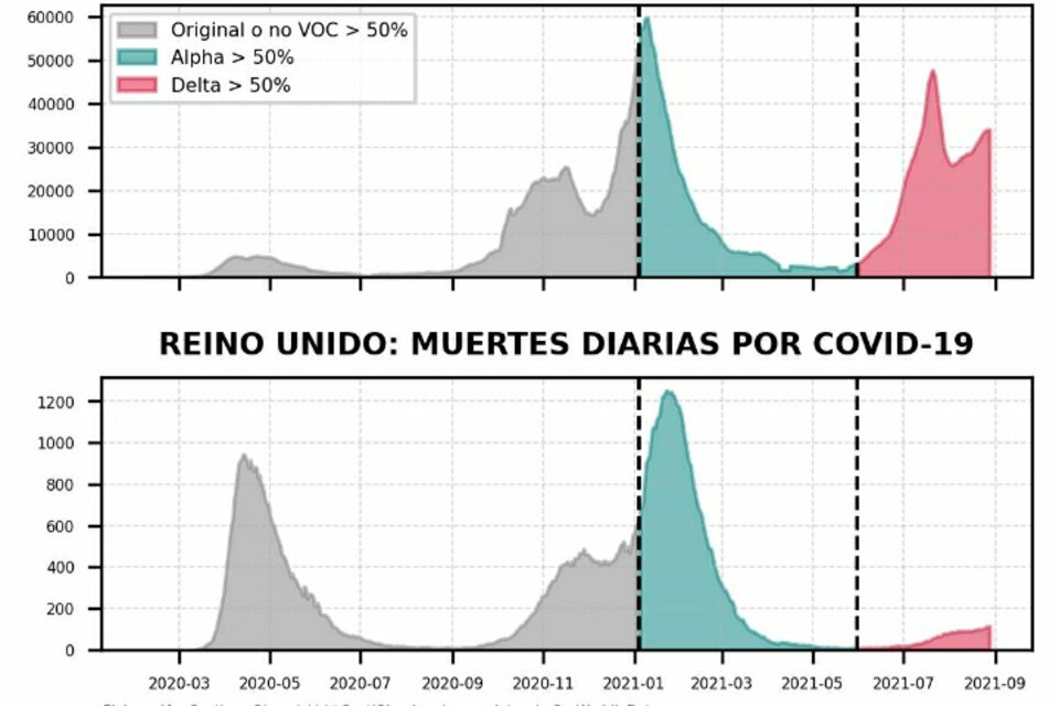 Variante Delta, qué pasará en Argentina.