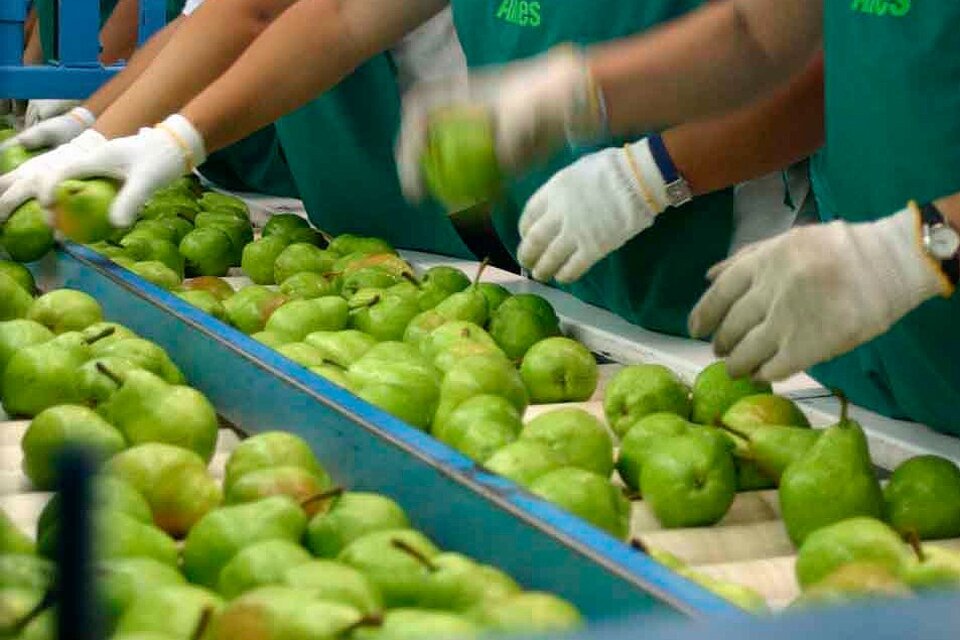 Una de las firmas suspendidas exportaba frutas y legumbres. (Fuente: AFP)