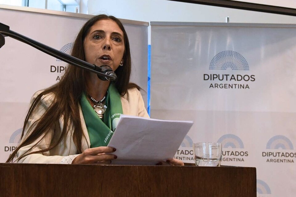 Soledad Deza en su intervención en el Congreso durante el debate por la ley de ILE. (Fuente: Prensa HDCN)