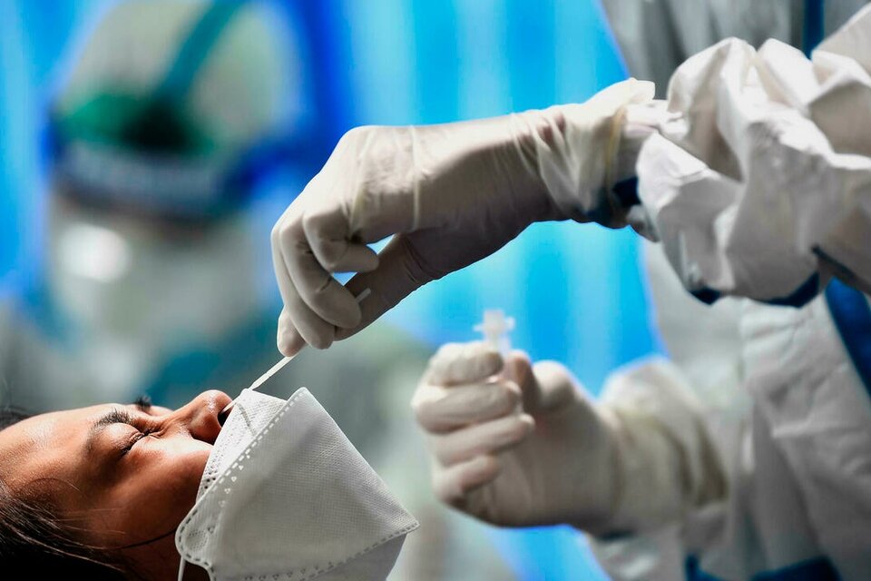 Estudian una posible vacuna intranasal para el coronavirus (Fuente: AFP)