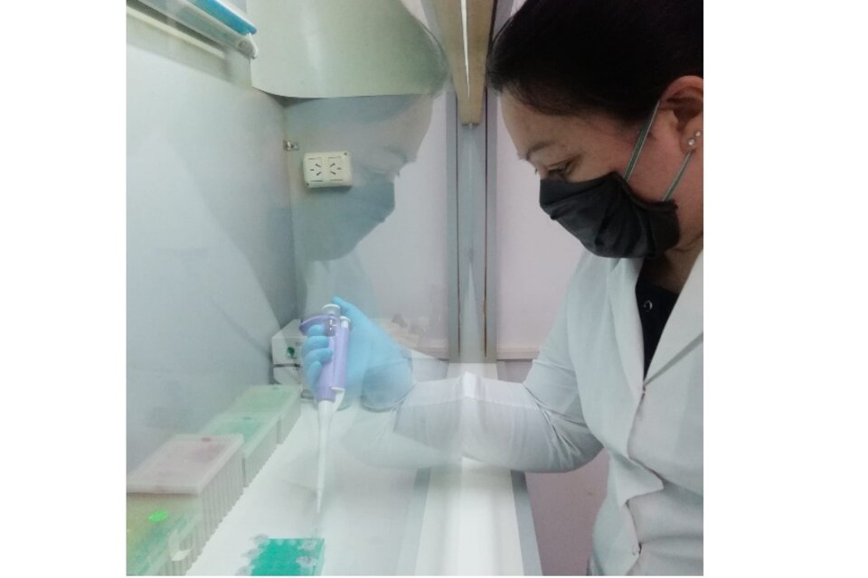 Foto: Gentileza Centro de Estudios e Investigación de la
Enfermedad de Chagas y Leishmaniasis (UNC)