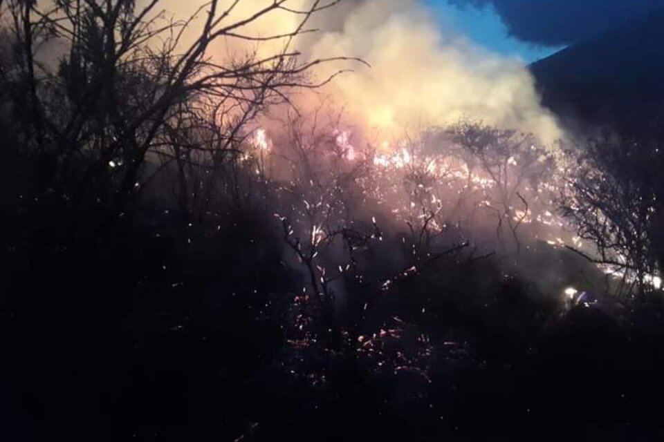 El fuego se expandió campo adentro.