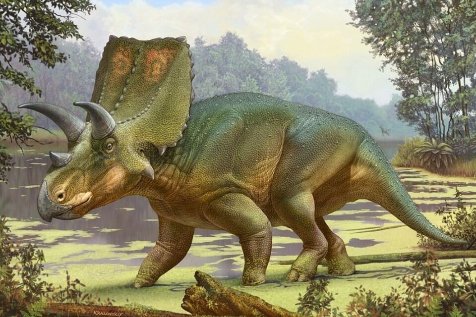 Sierraceratops turneri, el "dinosaurio cornudo" cuyo fósil fue encontrado en la propiedad de Ted Turner, fundador de CNN.