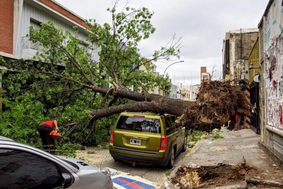 Vientos de gran intensidad provocaron la caída de un árbol en el barrio de Nueva Córdoba de la capital de la provincia mediterránea. (Fuente: na-Córdoba)