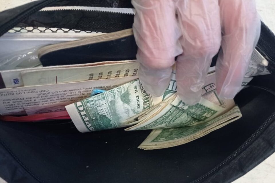 Los dólares que llevaba la mujer en su equipaje. 