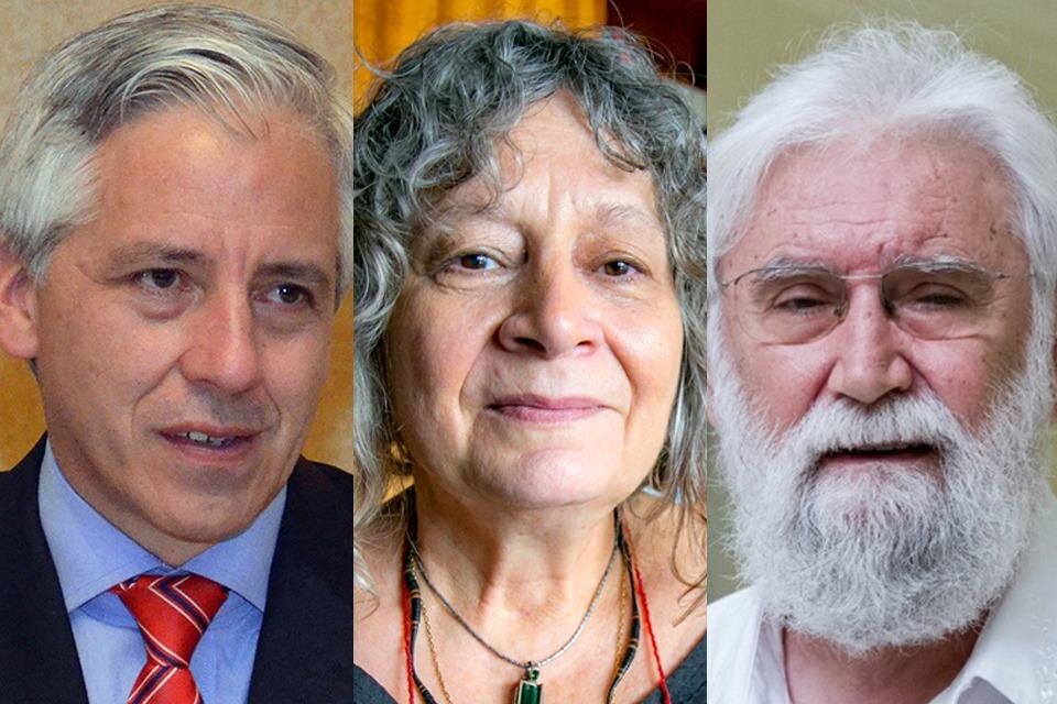 Alvaro García Linera, Rita Segato y Leonardo Boff, tres de los invitados notables que presentará esta edición de Proyecto Ballena. 